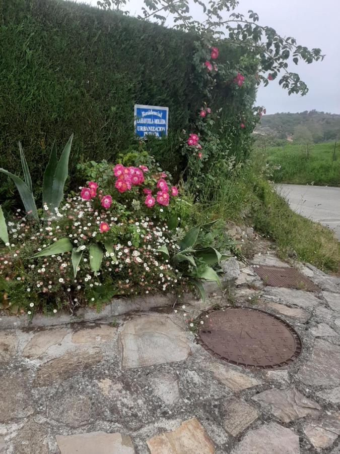 הוילה Casa La Hayuela Molleda מראה חיצוני תמונה